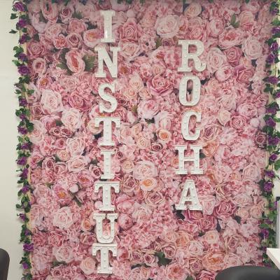 Espace Institut Rocha Formation